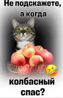 394887116_p_600_600_0