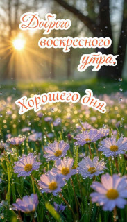 IMG_20250824_081724_708