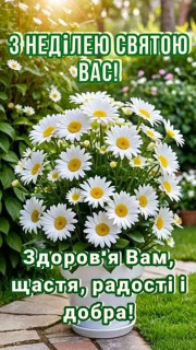 FB_IMG_17560243923834004