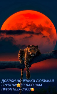 IMG_20250827_001525_783