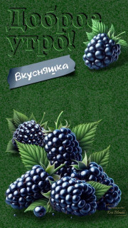 IMG_20250827_032955_345