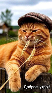 IMG_20250831_033953_285