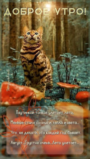 IMG_20250831_071940_429