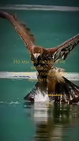 Никто_не_выбирает_себе_жизнь