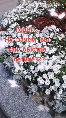 a3e44aa0f2c8ea471e5e67c6fe17c585