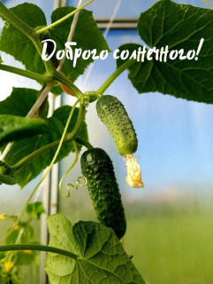 IMG_20250907_072414_221