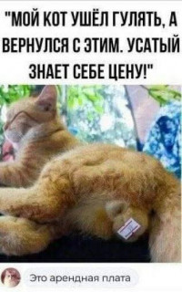 Оплата по тарифу