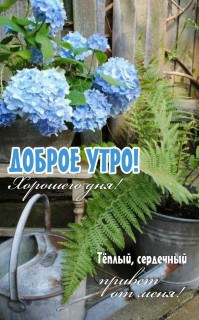 IMG_20250908_063548_601