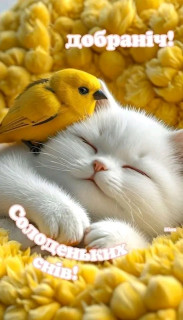 FB_IMG_17573859359348384