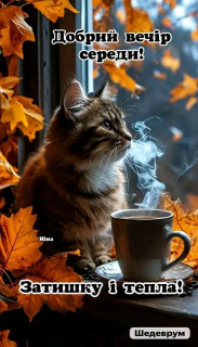 FB_IMG_17575177372465475