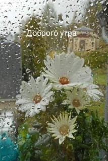 IMG_20250912_070138_682