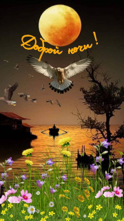 IMG_20250912_185615_244