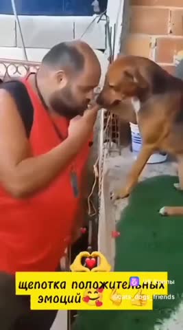 щепотка_положительных_эмоций