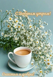 IMG_20250914_073658_278