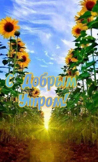 IMG_20250915_061407_012