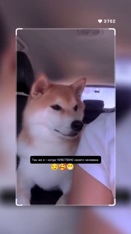 Про тактильность