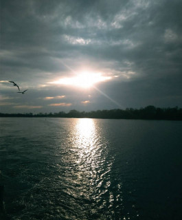 IMG-4681f451e76e7e4a951a0370bebcdfd1-V