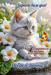 IMG_20250919_095715_275