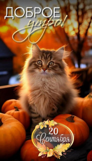 IMG_20250920_064145_401