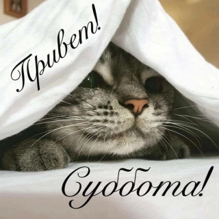 IMG_20250920_064137_713