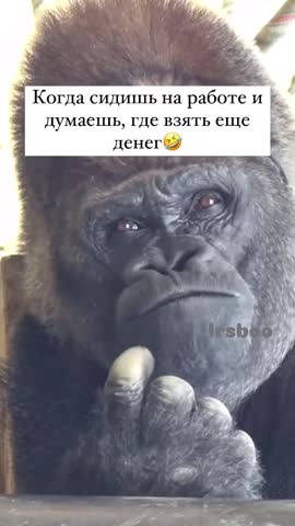 когда_ждёшь