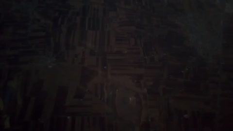 VID_20250923_083005_275