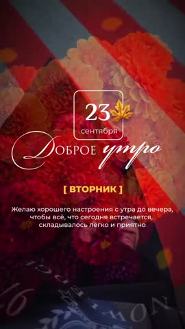 БлагоДарю