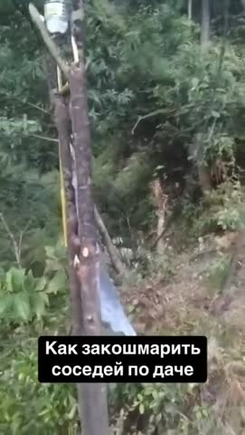 шухер_на_даче