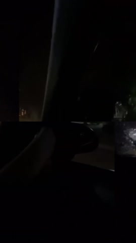 nadijkalito_2025-09-28-02-54-33_1759017273835