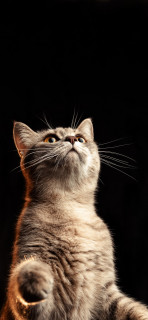 N9bDwAA8QZI