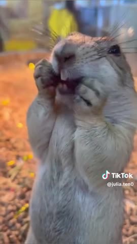 24c95e57001015c96884fe1c7ddef36f