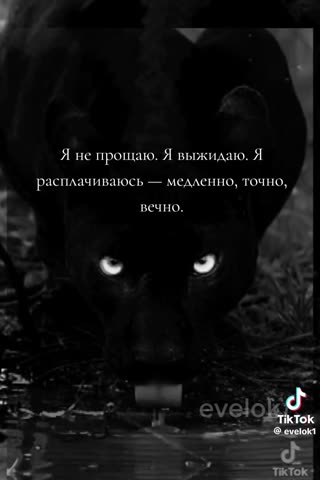 1a6431b1e7aa2a22b3e9ad8851643488