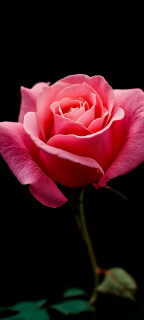 mIrNMQHgk1zujaECvft7MJ36sUVRl_Ppq999ag2JQpWq4Vq-2rl6X-6AaomjUGxhPDi05ZhqWs6REigGL4V05VaJ