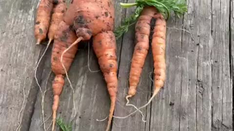 мексиканский_сериал