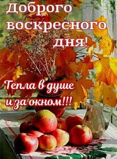 IMG_20251005_075333_935