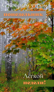 IMG_20251006_050630_931