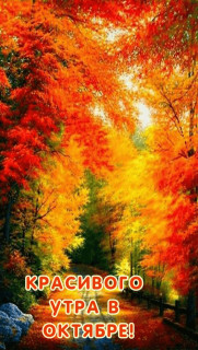 IMG_20251007_045937_558