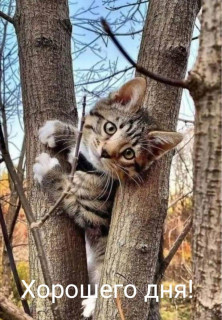 IMG_20251007_123044_264