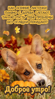 IMG_20251009_045239_891