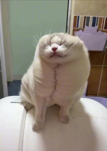 -Воздушное-утро-