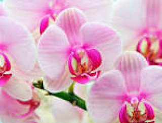 images-5