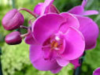 images-6