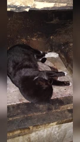 2025-10-15-202734130