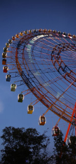 IMG_20251016_133038_618