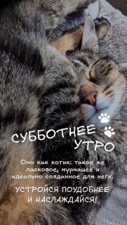 IMG_20251018_081014_207