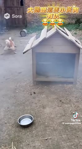 гусь диверсант гг