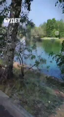 VID-20240816-WA0120