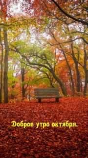 IMG_20251020_070845_722