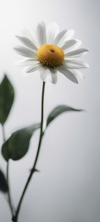 7Q7m4wx_uKQ