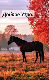 IMG_20251022_060722_723